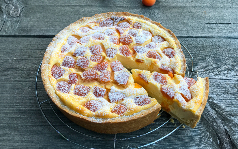 Topfen-Marillen-Torte - Backen mit Christina