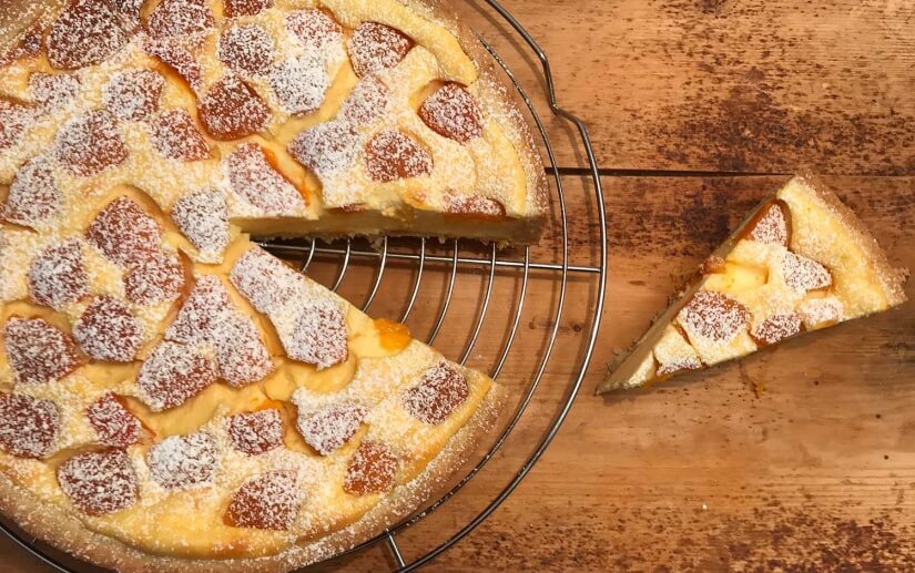 Topfen-Marillen-Torte - Backen mit Christina