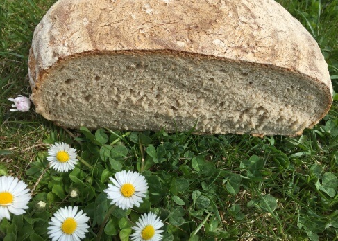 Bauernbrot mit Sauerteig