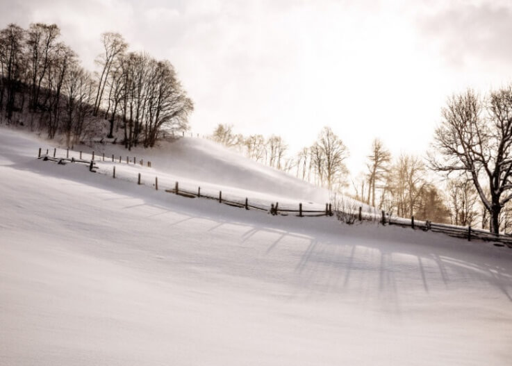 Schneebedeckte-Landschaft