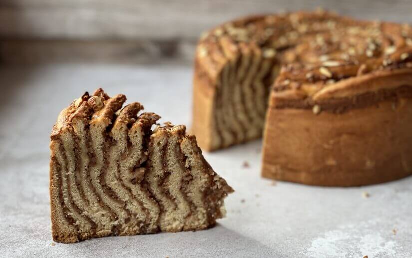 Riesige Mandelschnecke