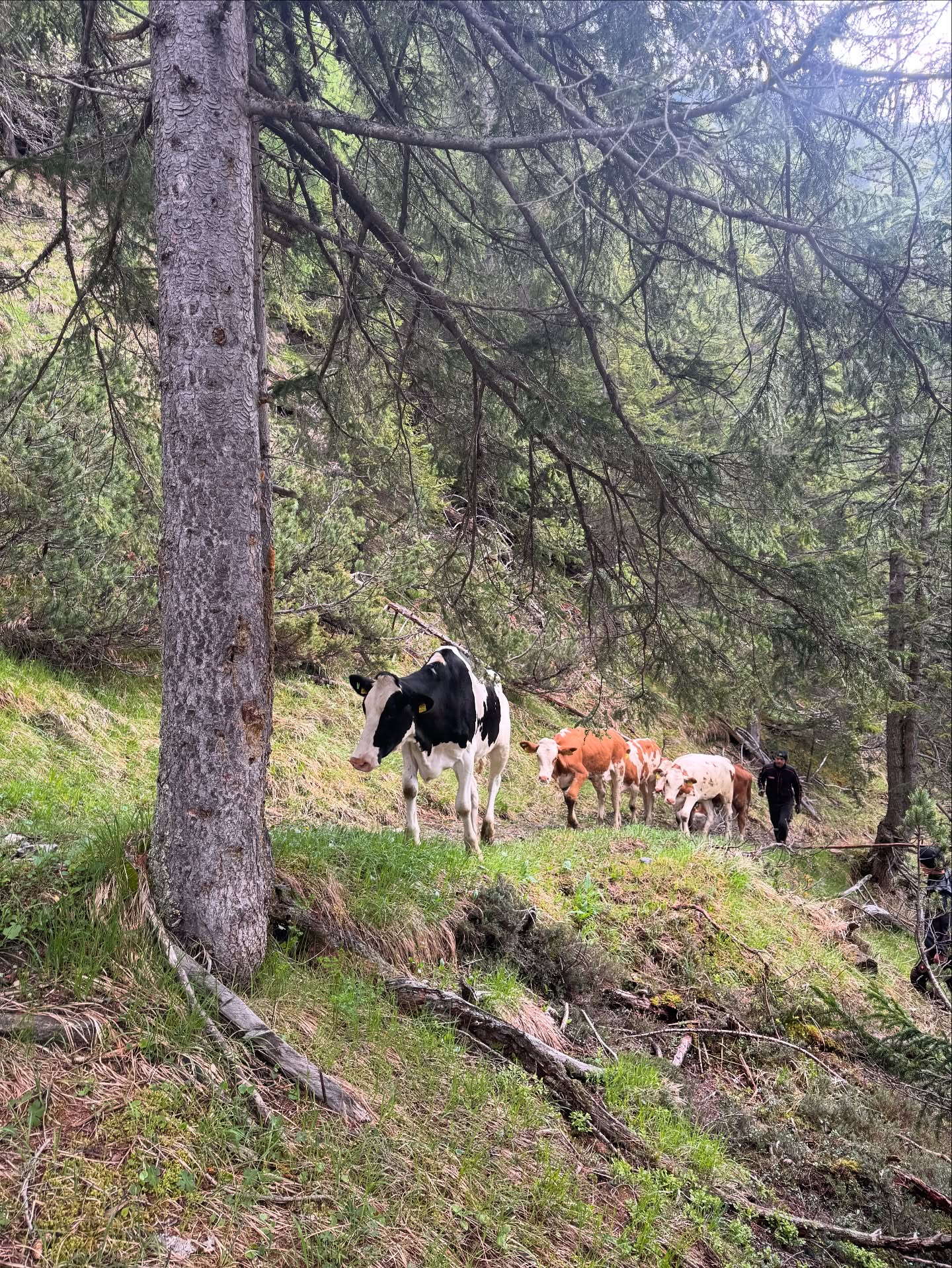 7 Tage, 7 Geschichten