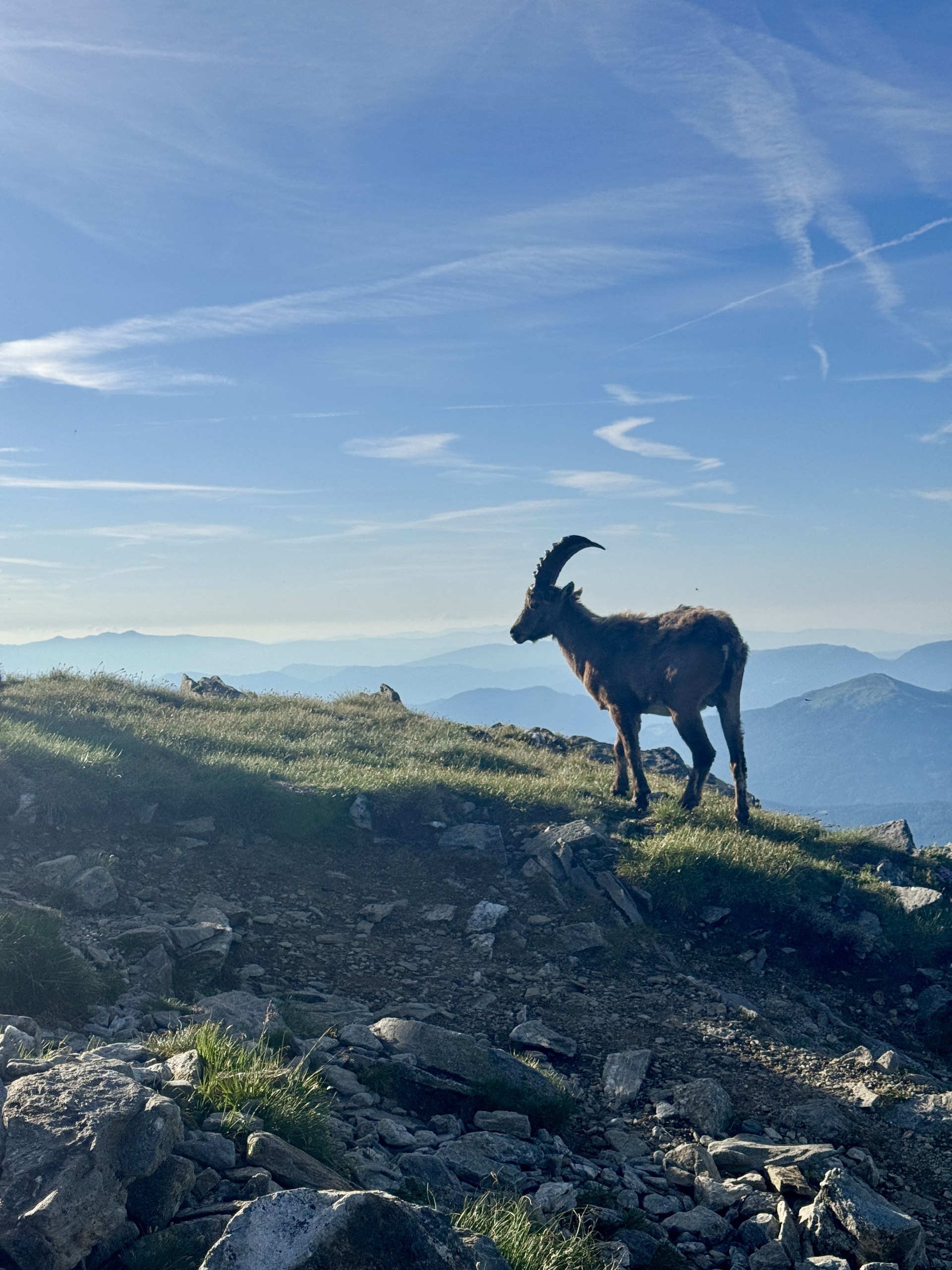 7 Tage, 7 Geschichten